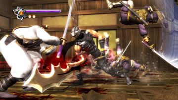 Immagine -2 del gioco Ninja Gaiden Sigma per PlayStation 3