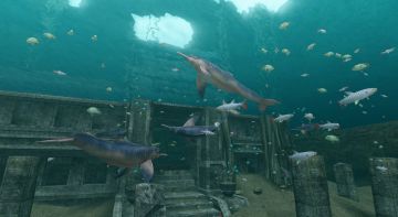 Immagine -2 del gioco Endless ocean 2 Avventure Negli Abissi per Nintendo Wii