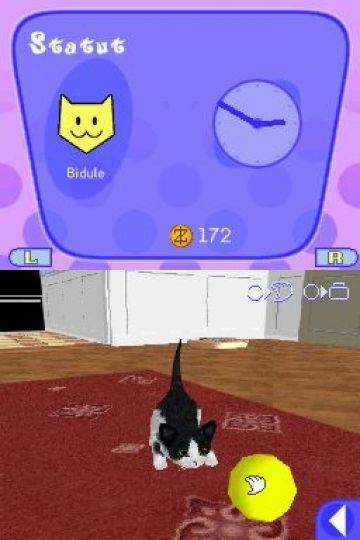 Immagine -5 del gioco Catz 2 per Nintendo DS