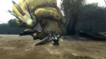 Immagine 30 del gioco Monster Hunter Tri per Nintendo Wii