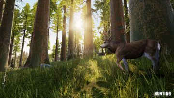 Immagine -4 del gioco Hunting Simulator per PlayStation 4