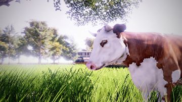 Immagine -11 del gioco Real Farm per PlayStation 4