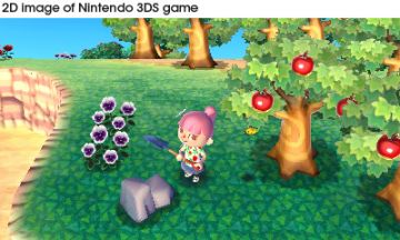 Immagine -9 del gioco Animal Crossing: New Leaf per Nintendo 3DS