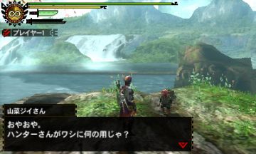 Immagine -3 del gioco Monster Hunter 4 per Nintendo 3DS
