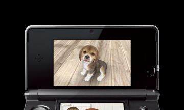 Immagine -17 del gioco Nintendogs + Cats: Golden Retriever & New Friends per Nintendo 3DS