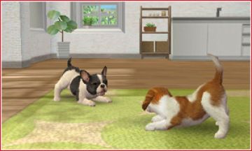 Immagine -8 del gioco Nintendogs + Cats: Golden Retriever & New Friends per Nintendo 3DS