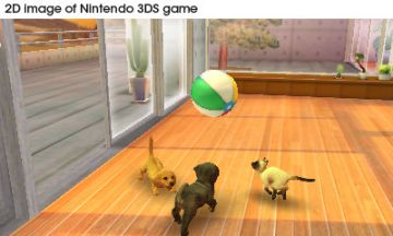 Immagine -5 del gioco Nintendogs + Cats: Golden Retriever & New Friends per Nintendo 3DS