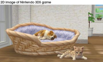 Immagine -4 del gioco Nintendogs + Cats: Golden Retriever & New Friends per Nintendo 3DS