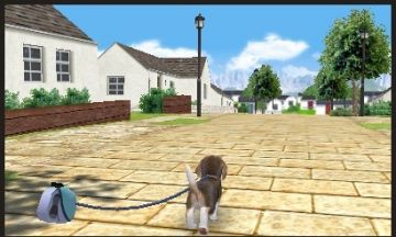 Immagine -13 del gioco Nintendogs + Cats: Golden Retriever & New Friends per Nintendo 3DS
