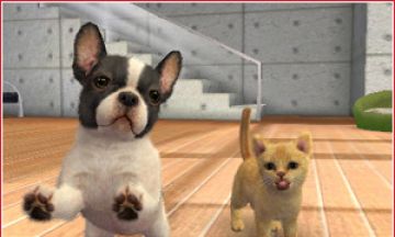 Immagine -11 del gioco Nintendogs + Cats: Golden Retriever & New Friends per Nintendo 3DS