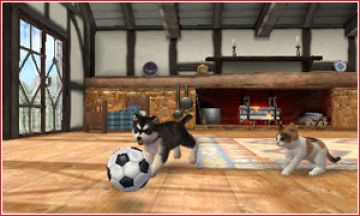 Immagine -10 del gioco Nintendogs + Cats: Golden Retriever & New Friends per Nintendo 3DS