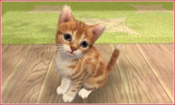 Immagine -9 del gioco Nintendogs + Cats: Golden Retriever & New Friends per Nintendo 3DS