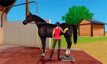 Immagine -2 del gioco Giulia passione equitazione 3D per Nintendo 3DS
