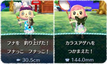 Immagine 15 del gioco Animal Crossing: New Leaf per Nintendo 3DS